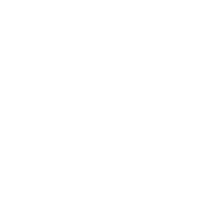 LIFE STREAM